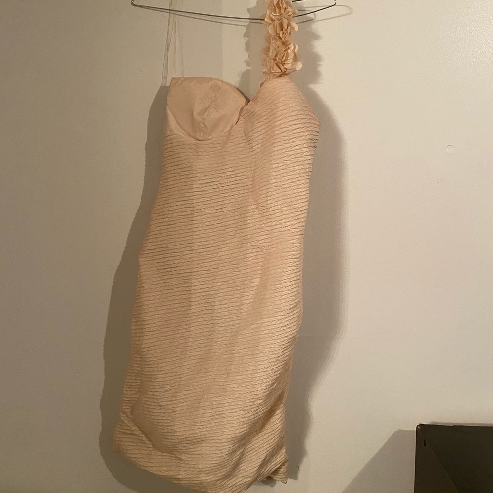 Elegant simple Dress.